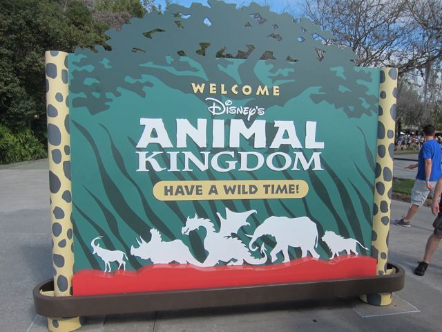 Disney World Animal Kingdom Logo - Top of the top Animal Wallpapers